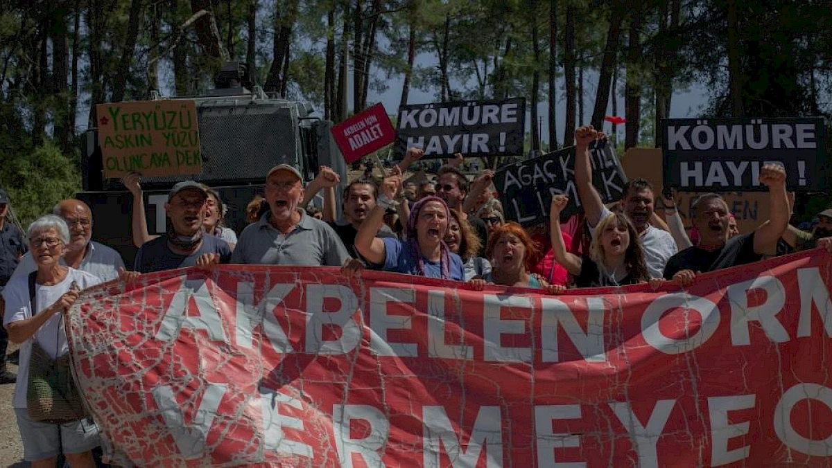 Turski ekolozi spasavaju šumu od rudarske kompanije