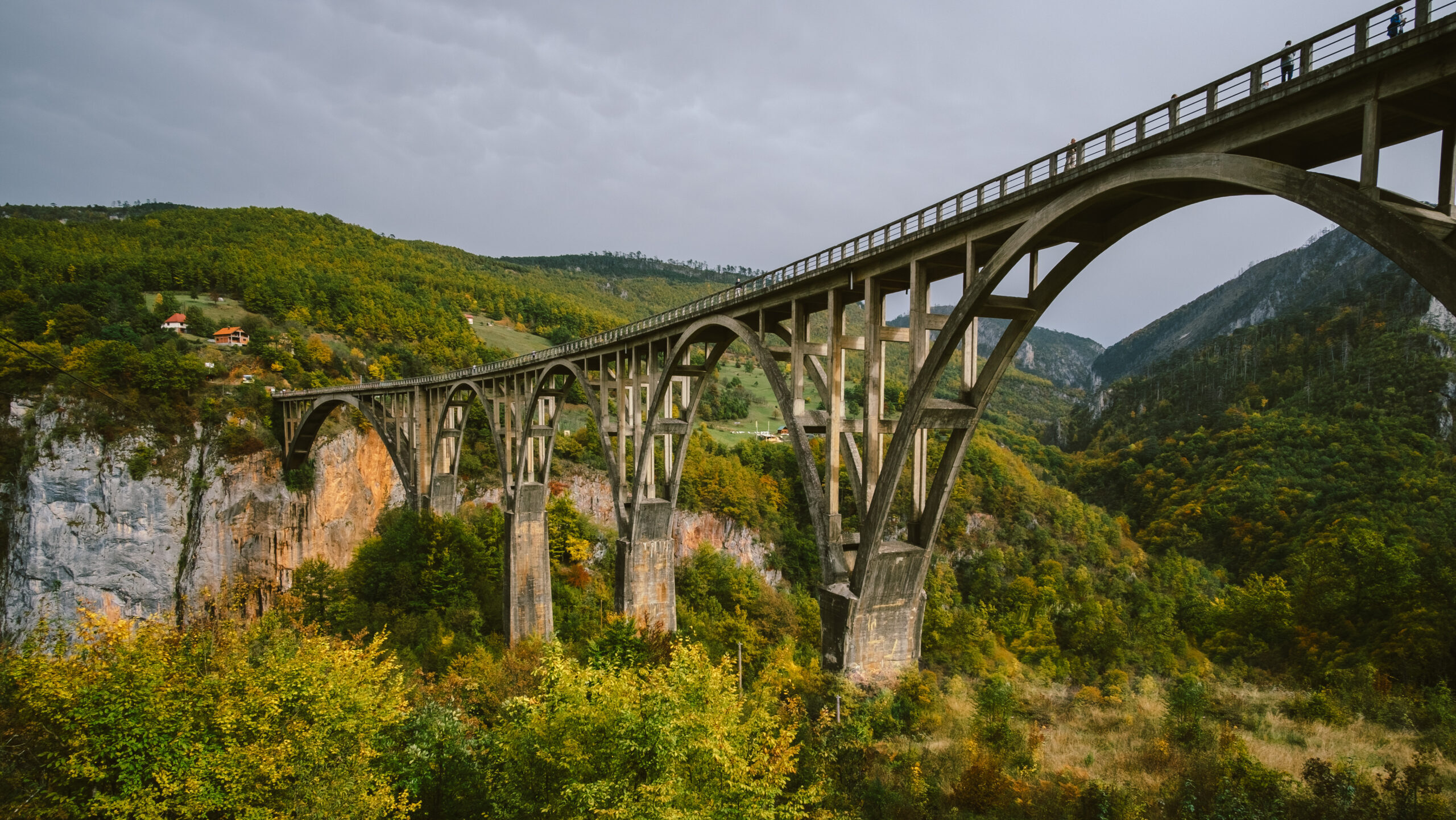 Most na Đurđevića Tari. Foto: Freepik