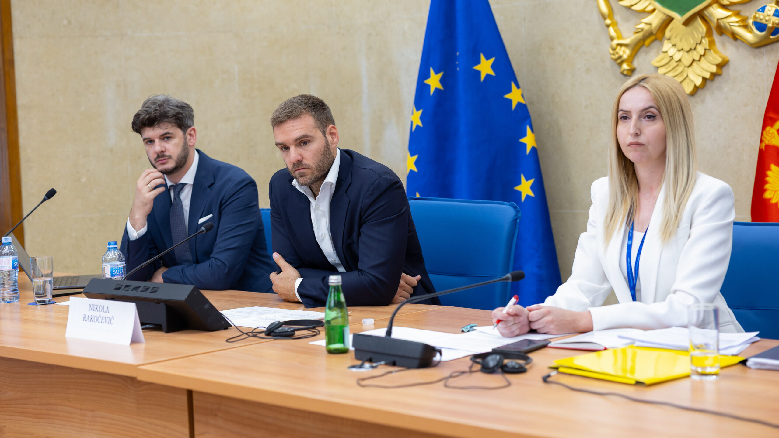 Vasilije Čarapić (L) i Rakočević (u sredini) na sjednici Odbora za sveobuhvatnu izbornu reformu. Foto: Skupština Crne Gore